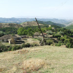 suor_vincenzina_bovio_01