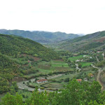 suor_vincenzina_bovio_02