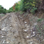 suor_vincenzina_bovio_03